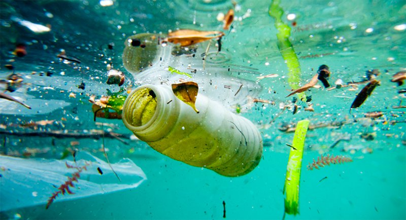 Ô nhiễm nguồn nước là gì ? Hậu quả và những việc nên làm để bảo vệ nguồn nước của chúng ta